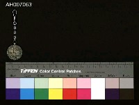 藏品(始政40年台灣博覽會會員紀念章)的圖片